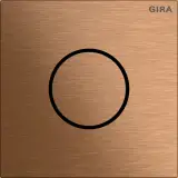 5563921