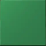 ENOLC990219