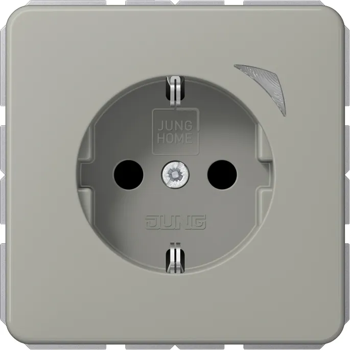 Jung BT CD 1521 SE PT Pic_1