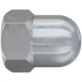 569126