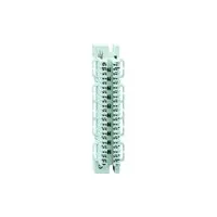 Rutenbeck AsLe A 10 LSA Pic_1