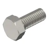 3156024