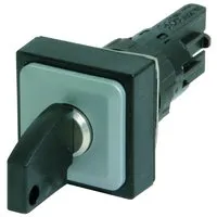 Eaton Electric Q25S1R Pic_1