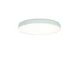 SPC0630006