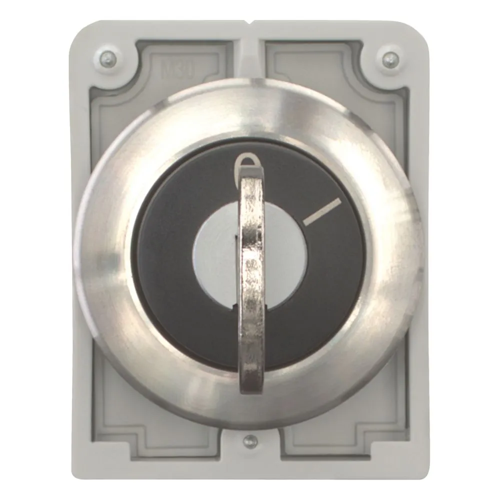 Eaton Electric M30I-FWRS Pic_1