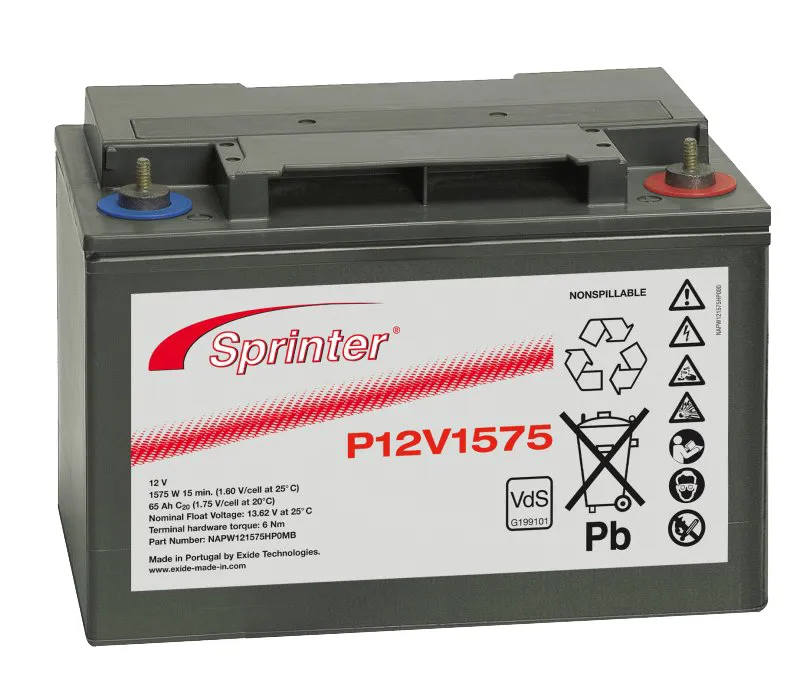 Winfried Hückmann P12V1575 Pic_1