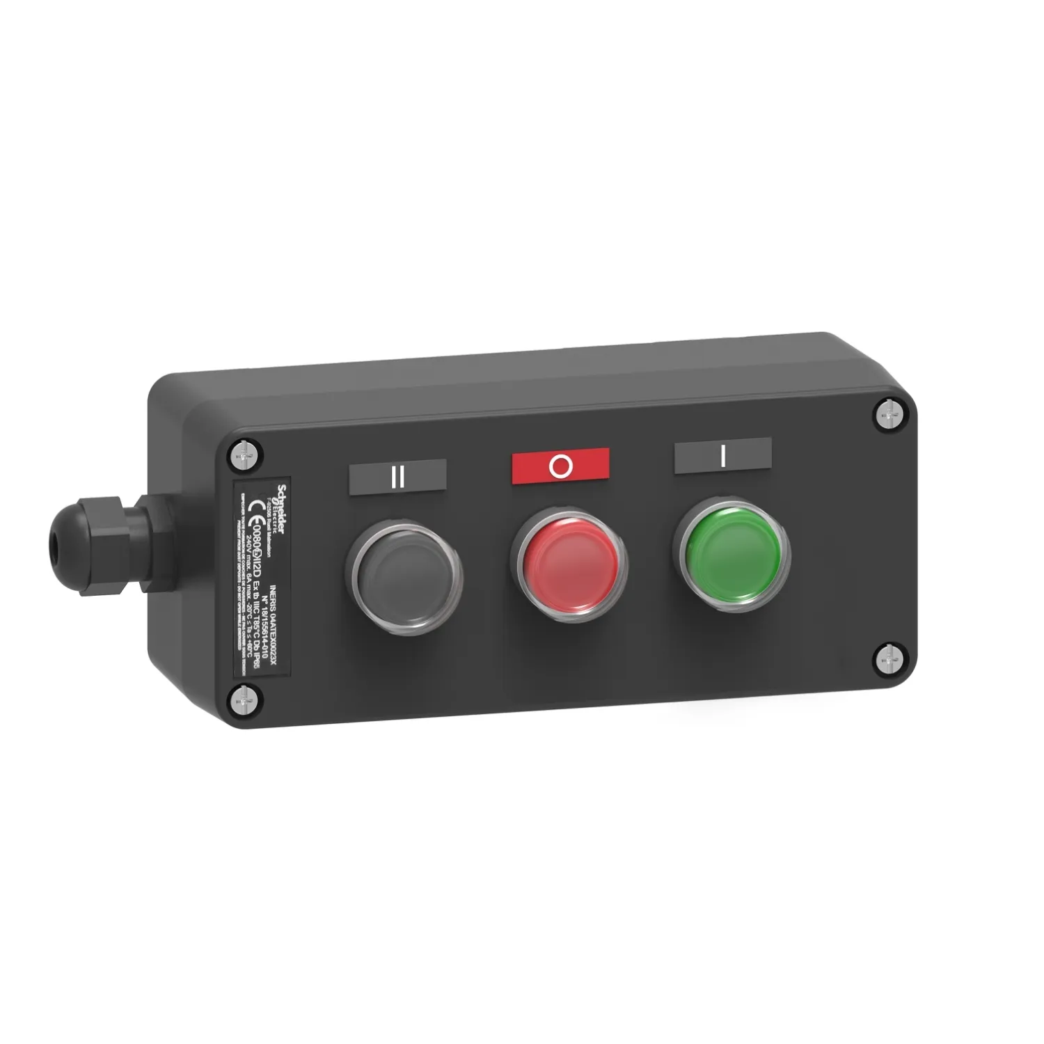 Schneider Electric XAWG310EX Pic_1