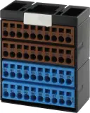 56109