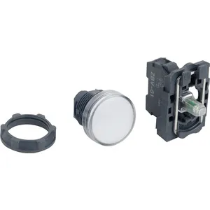 Schneider Electric XB5AVG1 Pic_2