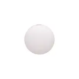 NUMINOS® M Diffusor Prisma