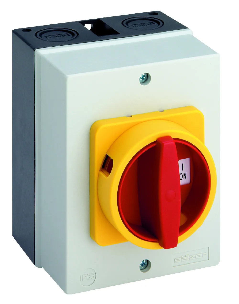 SÄLZER-ELECTRIC GMBH H216-41300-700N4 Haupt-/Notausschalter 20A Pic_1
