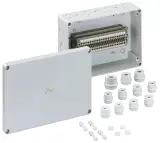 61502501