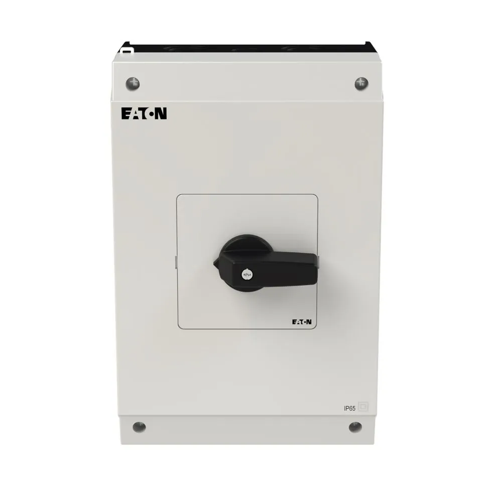 Eaton Electric P3-63/I4/N Pic_2