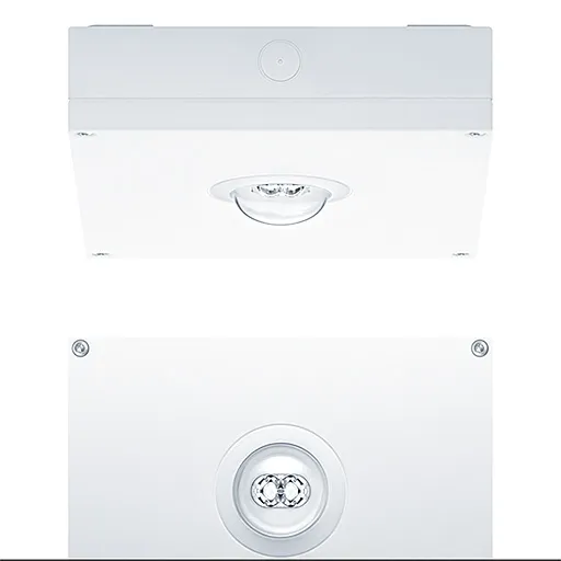 ZUMTOBEL GROUP DEUTSCHLAND RESCLITE PRO M MSC ANT ECC WH IP65 Pic_2
