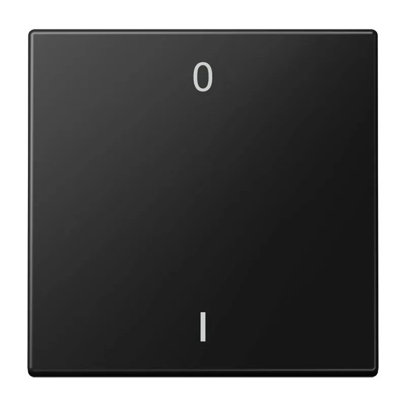 Jung ENO LS 990-01 SWM Pic_1