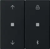 5367005