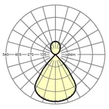 60612036675