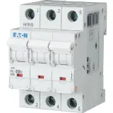 236405