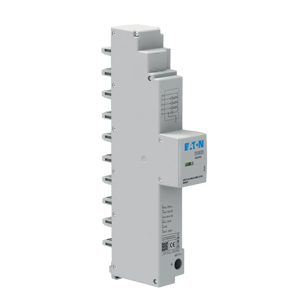Eaton Electric SPZT123-300/3+NPE-S-OS Pic_2