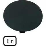 218276