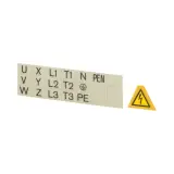 231363