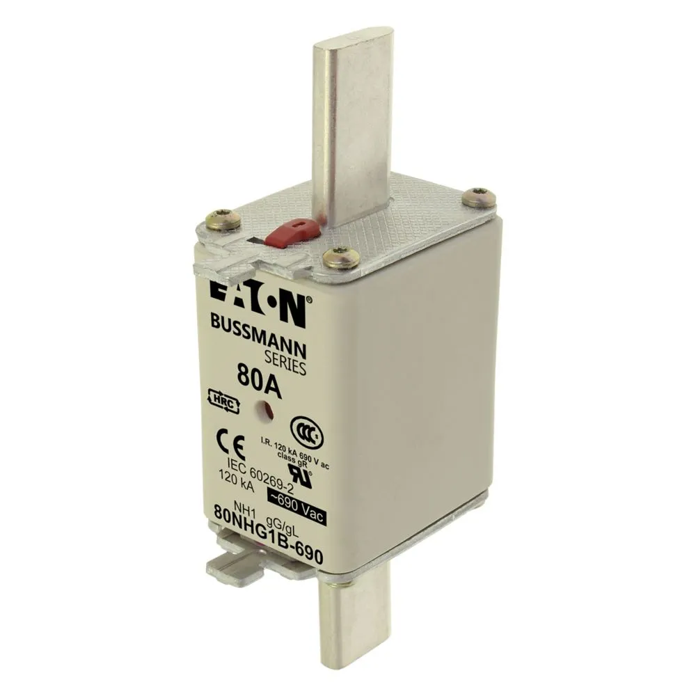 Eaton Electric NH-SICHERUNG 63 AMP 690 V gG GRÖSSE 1 Pic_1