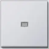 029066
