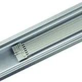55120099