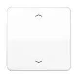 CD 1700 P WW