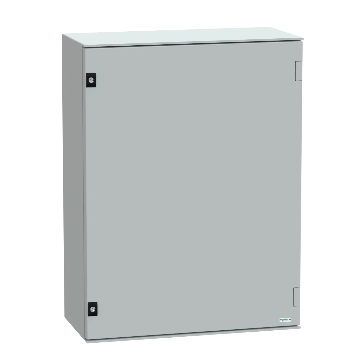 Schneider Electric NSYPLM86BG Pic_1