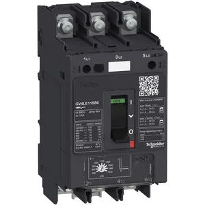 Schneider Electric GV4LE80N6 Pic_1