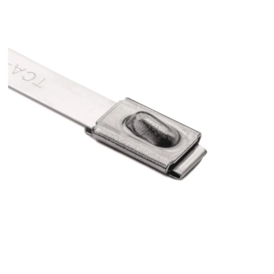 Hellermanntyton MBT8HS-SS304-ML (50) Pic_1