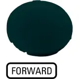 218205
