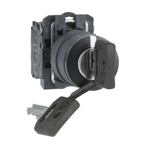 Schneider Electric XB5AG33 Pic_2