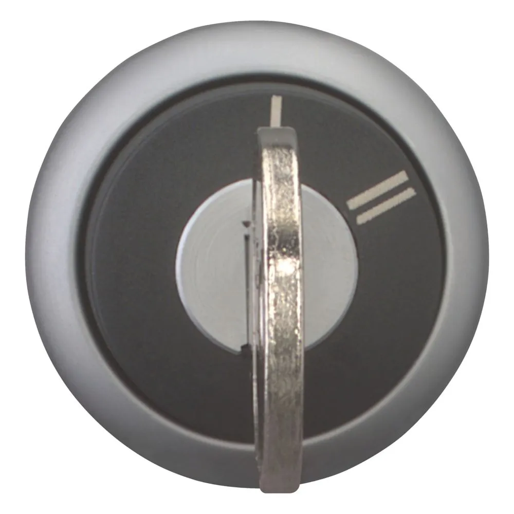 Eaton Electric M22-WRS-X95 Pic_1
