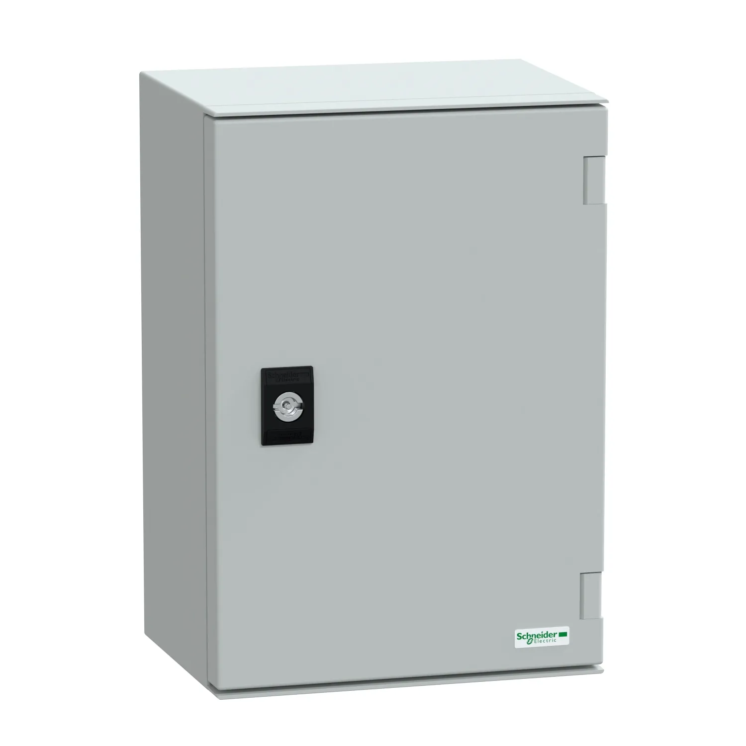 Schneider Electric NSYPLM32PG Pic_1
