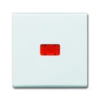 BUSCH-JAEGER ELEKTRO GMBH 2107-32 Pic_3