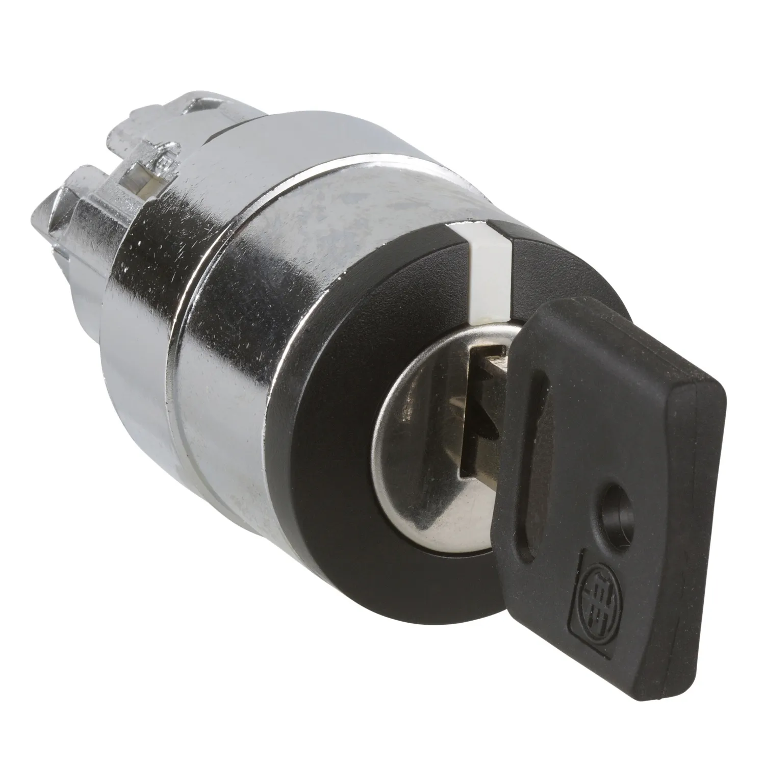 Schneider Electric ZB4BG2K3331E Pic_1