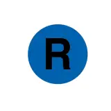 218304