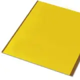 5031388