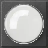 141567