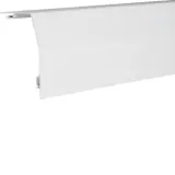 RK2309010