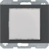 29517006