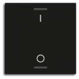 BE-TAL55W106.B1