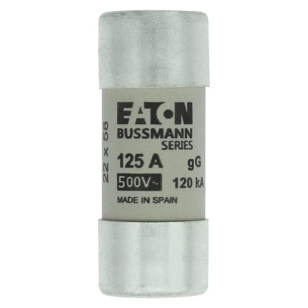 Eaton Electric CYLINDRICAL FUSE 22 x 58 125A gG 500V AC Pic_1