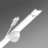 19150700150