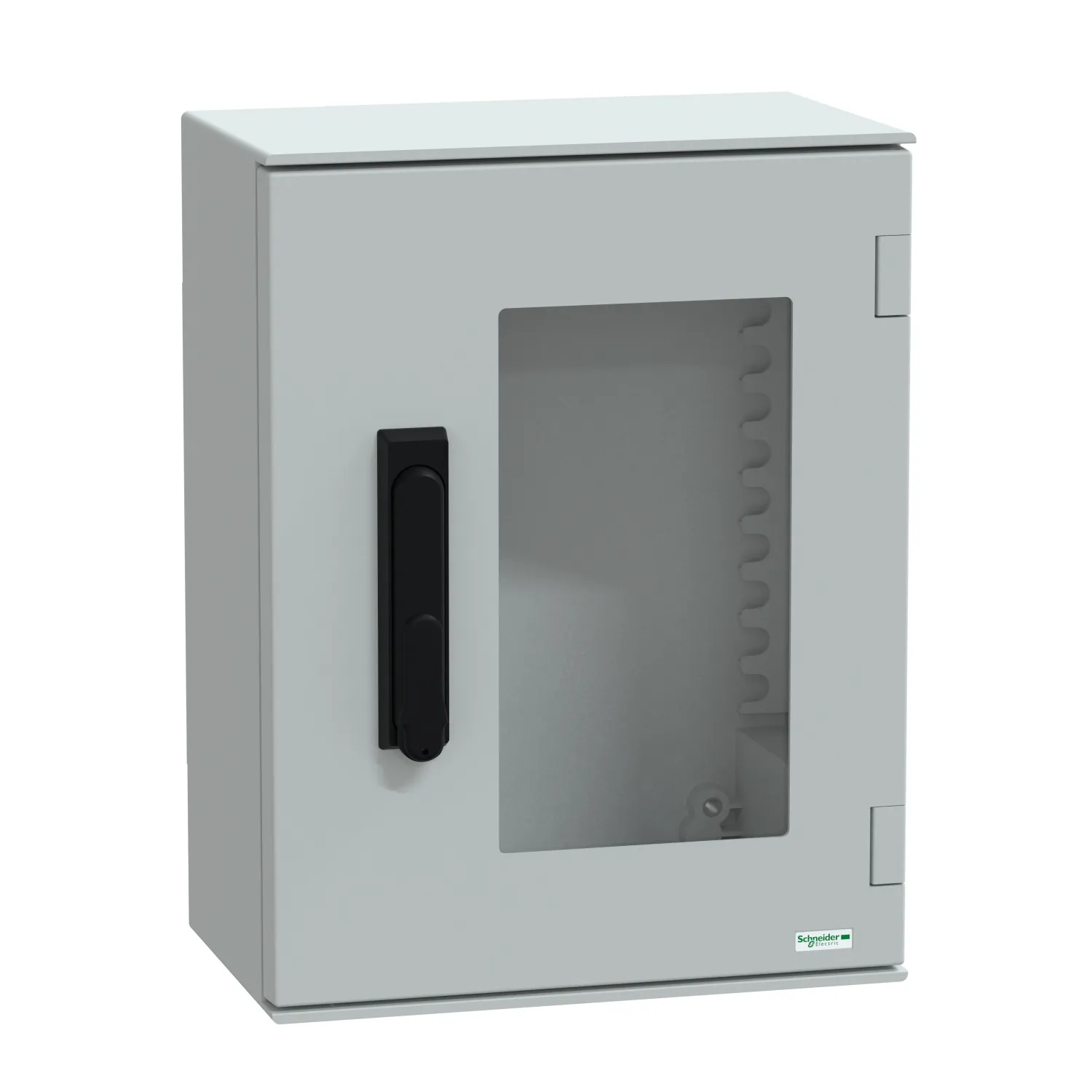 Schneider Electric NSYPLM43TVG Pic_1
