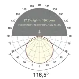 ICSB202430280225M