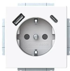 BUSCH-JAEGER ELEKTRO GMBH 20 EUCB2USBAC-84 Pic_1