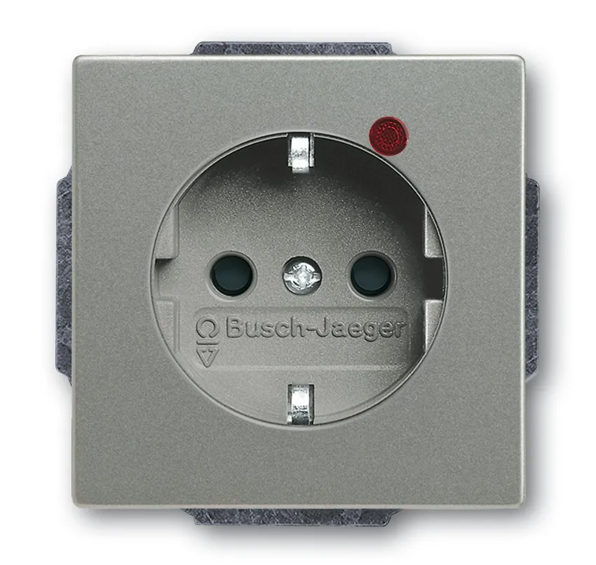 BUSCH-JAEGER ELEKTRO GMBH 2310EUGL/VA-803-11 Pic_1